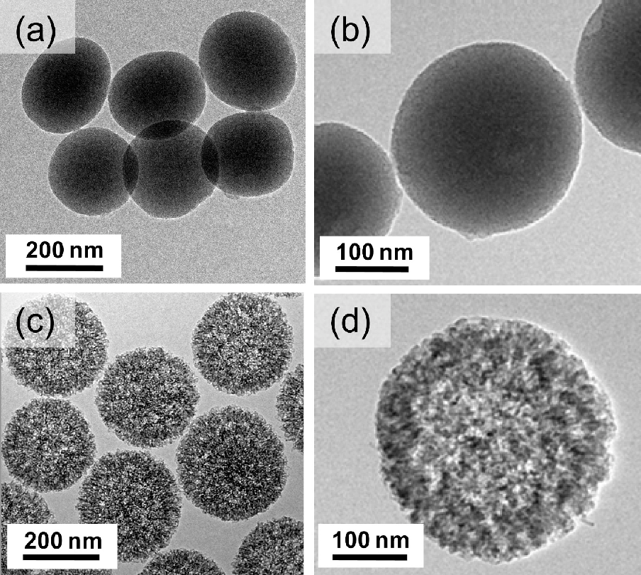 Silica   Nanoparticles are Biocompatible Ones!