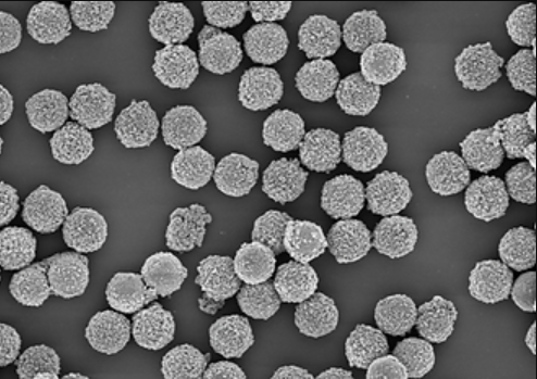 Non-functionalized or carboxyl polystyrene microparticles