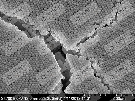 Non-functionalized silica nanoparticles 1µm